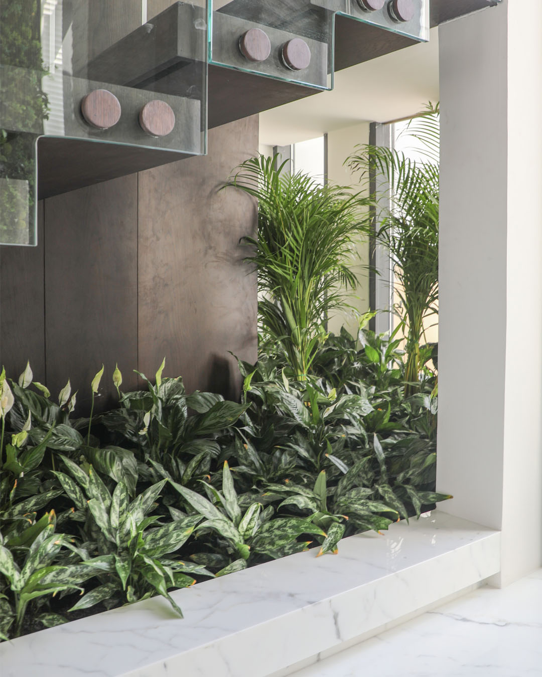 Indoor Plants Catalog 239 plantscape-portfolio-1