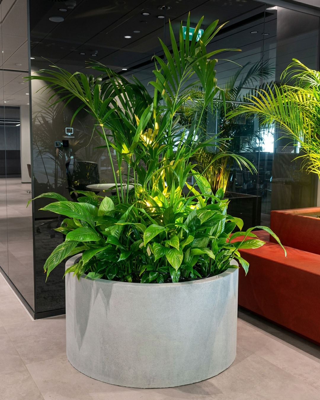 Indoor Plants Catalog 248 plantscape-portfolio-13