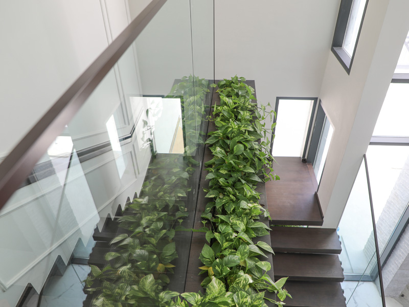 Indoor Plants Catalog 240 plantscape-portfolio-2