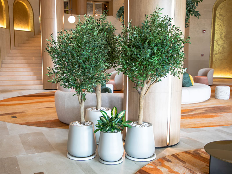 Indoor Plants Catalog 242 plantscape-portfolio-6