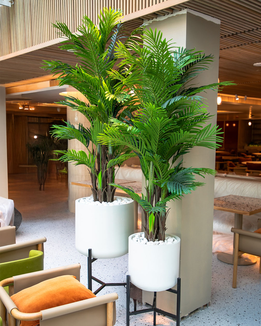 Indoor Plants Catalog 245 plantscape-portfolio-9