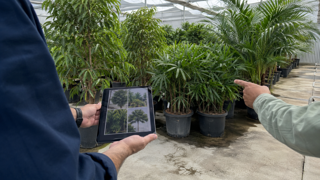 Architect and horticultural specialist reviewing approved indoor plants at a UAE nursery before project delivery