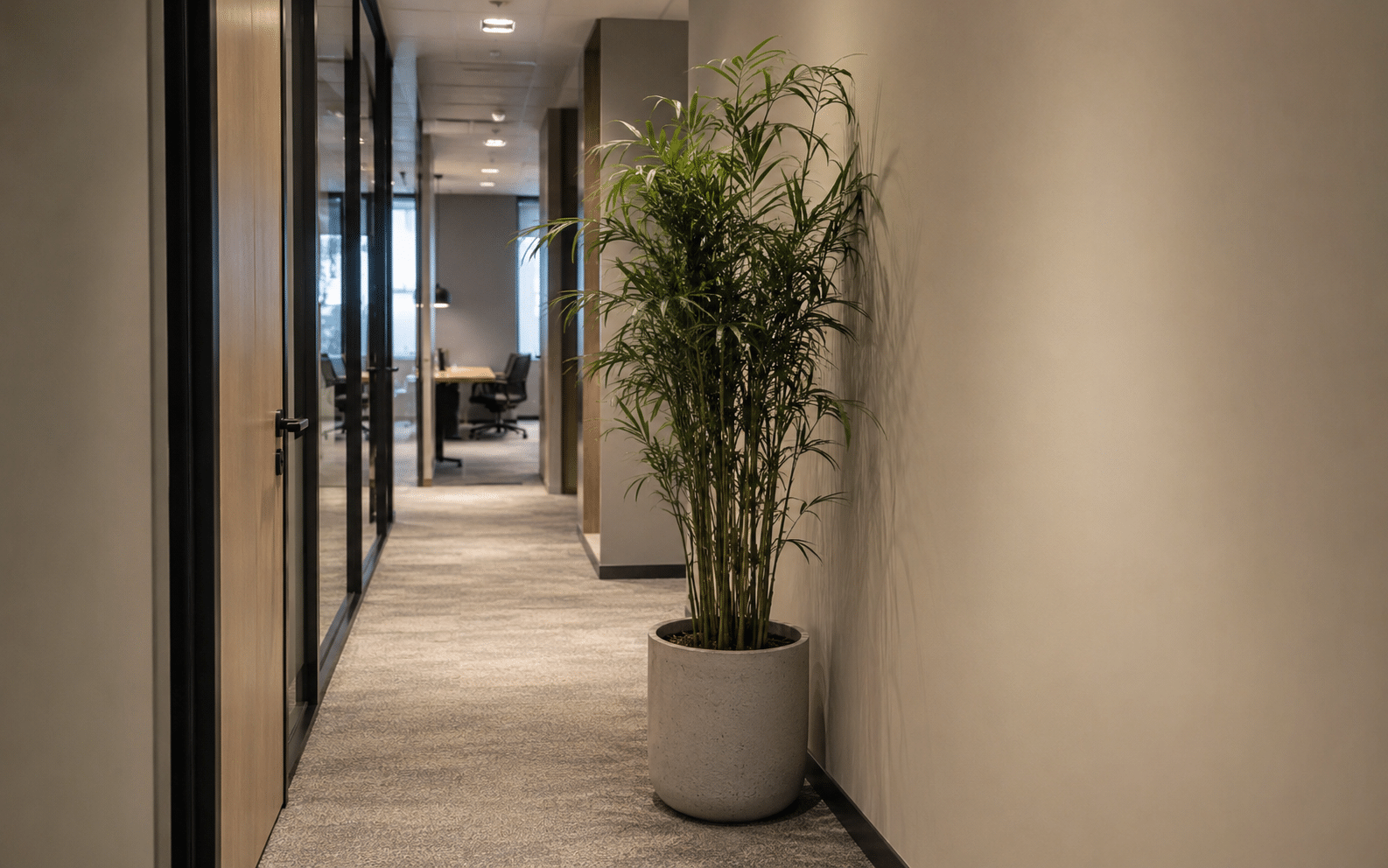 A retrofitted planter squeezed into a finished corridor, illustrating sustainable landscape design UAE done as an afterthought