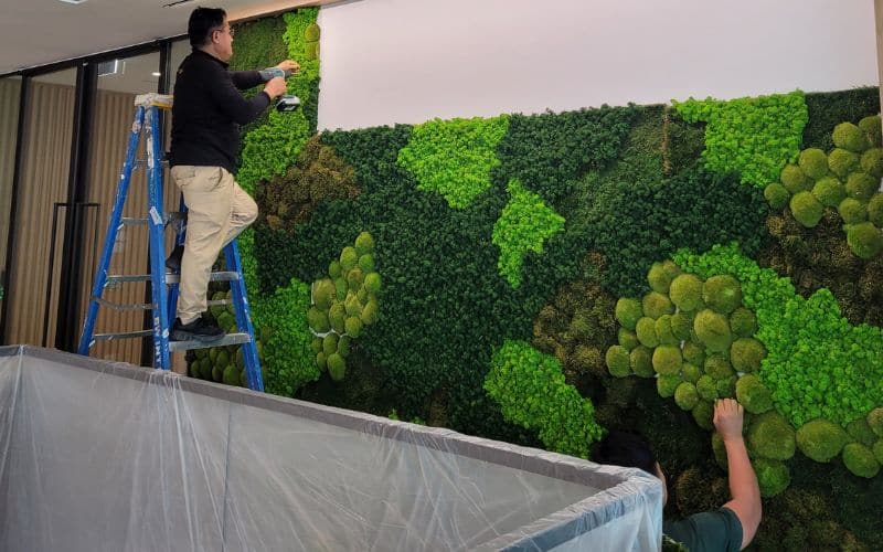 Interior designer reviewing a preserved moss wall location near strong glazing and direct sunlight