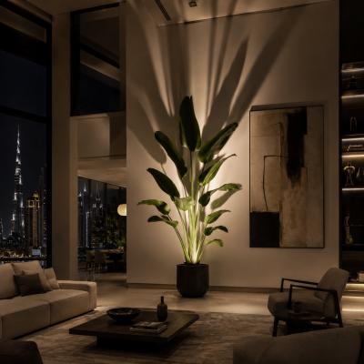 Plant spotlighting Dubai homes with uplit Birds of Paradise in villa living room